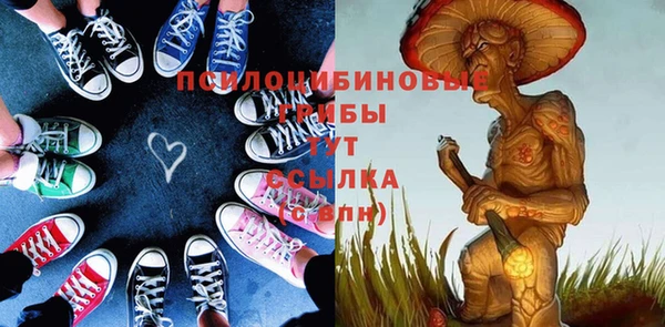 МДПВ Алексеевка