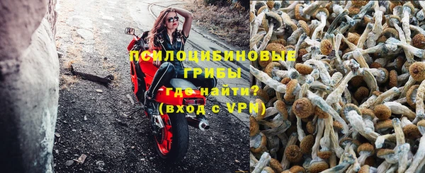 шишки Сафоново